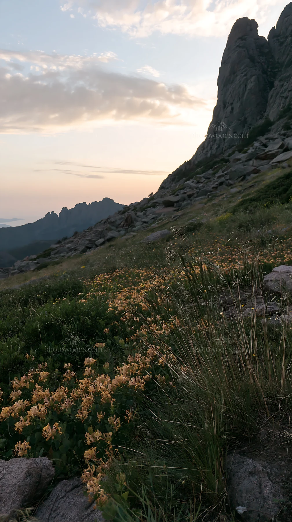 Night-blooming meadow with flowers and mountains at dusk - AI-generated stock image