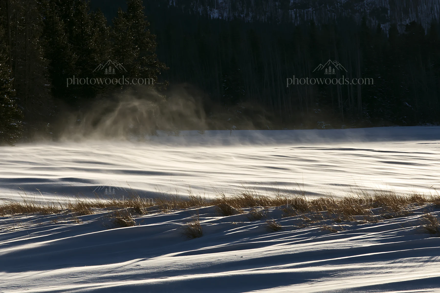 Snowy meadow in Rocky Mountain Park with wind blowing - AI-generated stock image