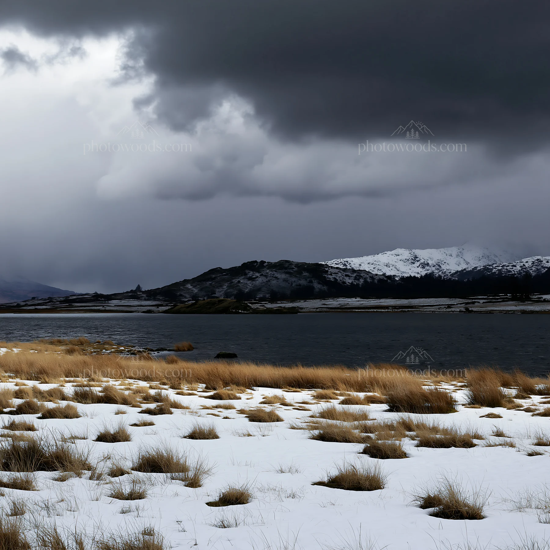 Snowy lakeside meadow under a cloudy sky - AI-generated stock image