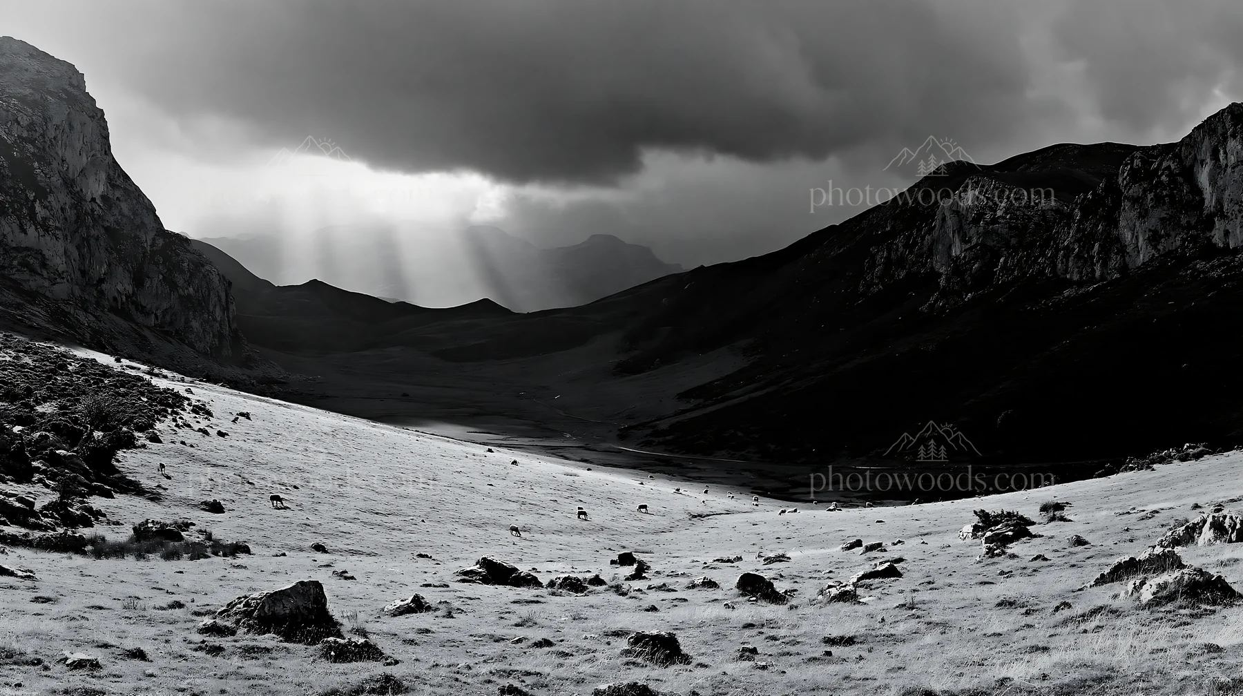 Sunrays over Picos de Europa meadow in black and white - AI-generated stock image