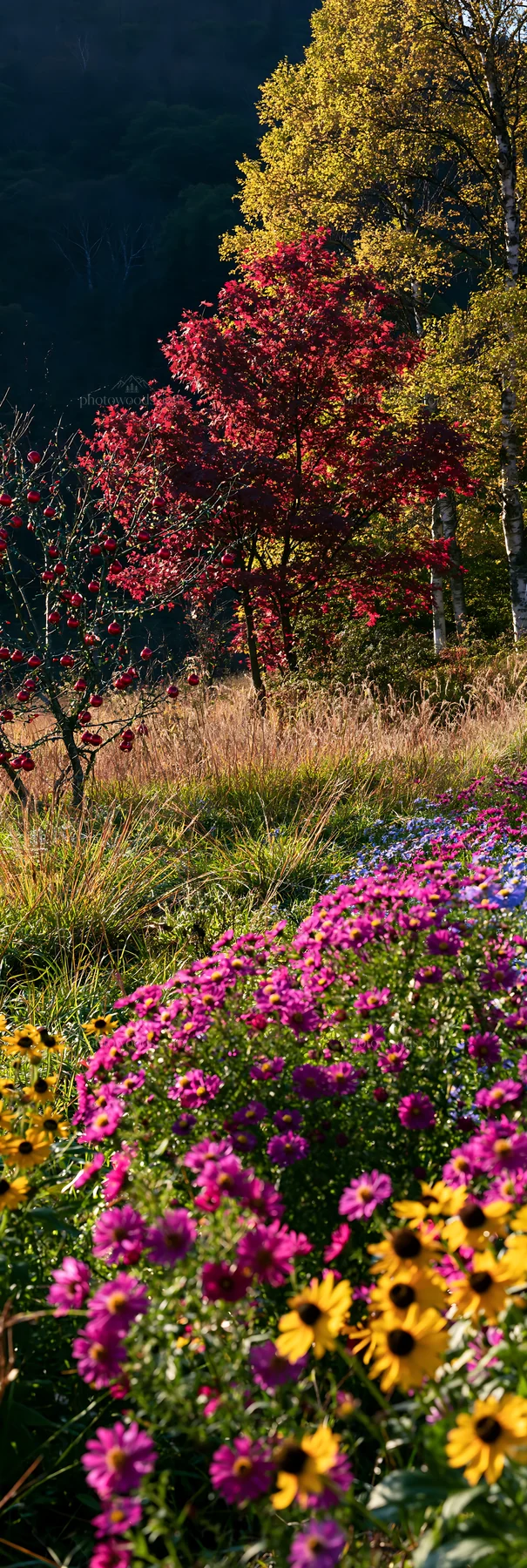 Open Christmas meadow with winter grasses and baubles - AI-generated stock image