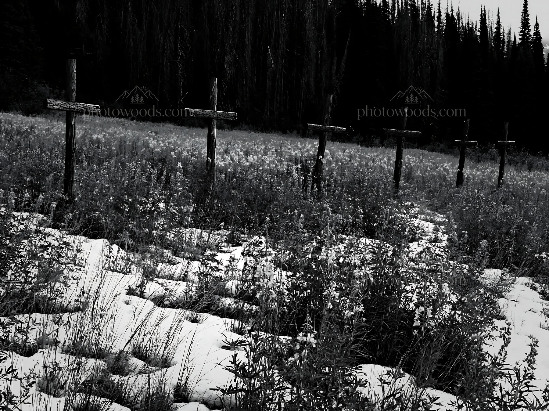 Multiple Christian crosses in snowy meadow - AI-generated stock image