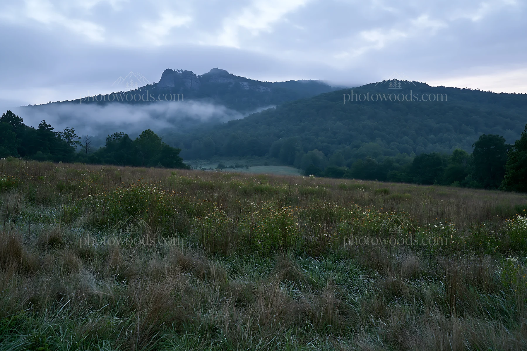 Dewy meadow with mountains in the background during early morning - AI-generated stock image