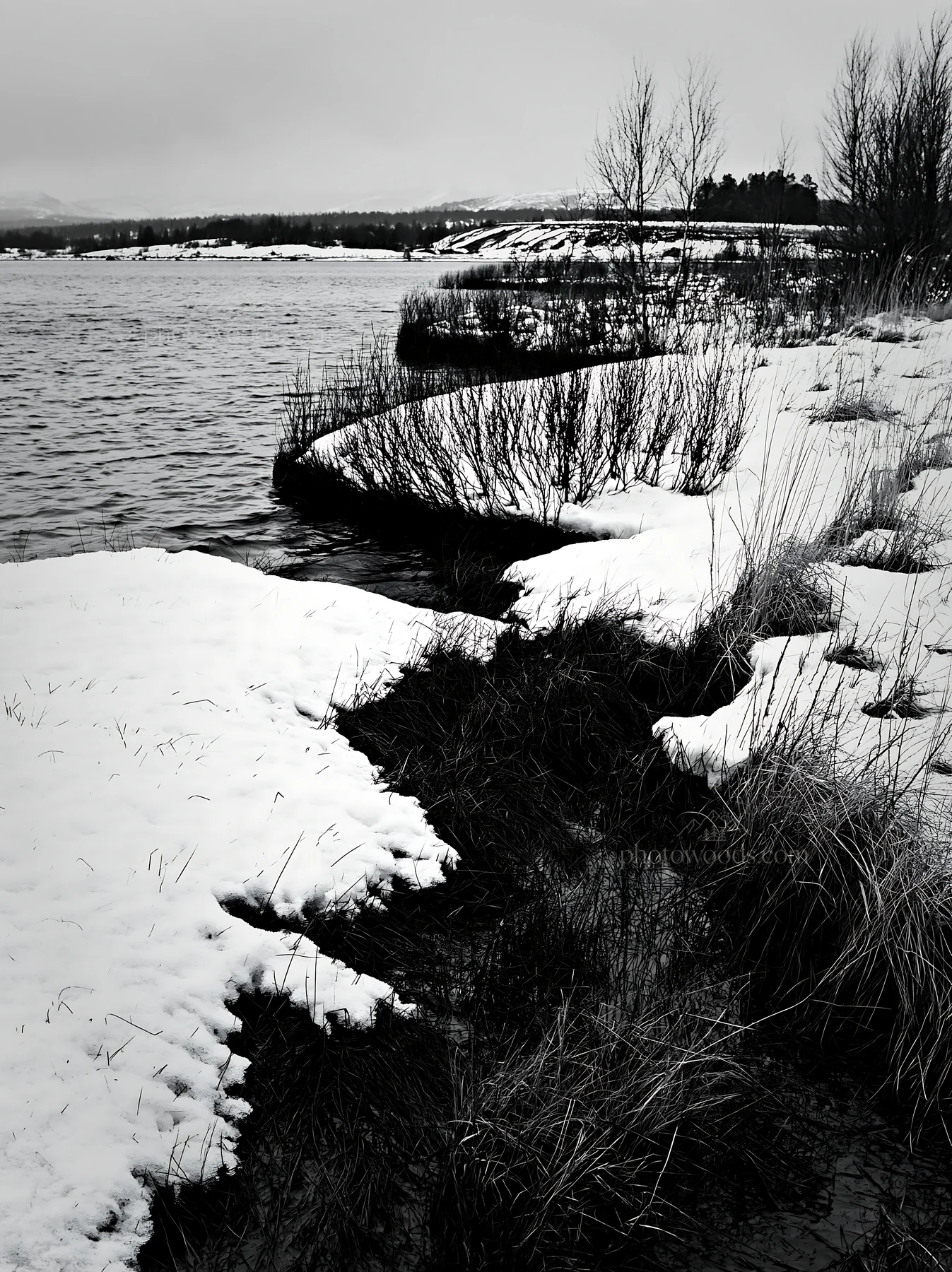 Snowy lakeside meadow with water and shrubs in winter - AI-generated stock image