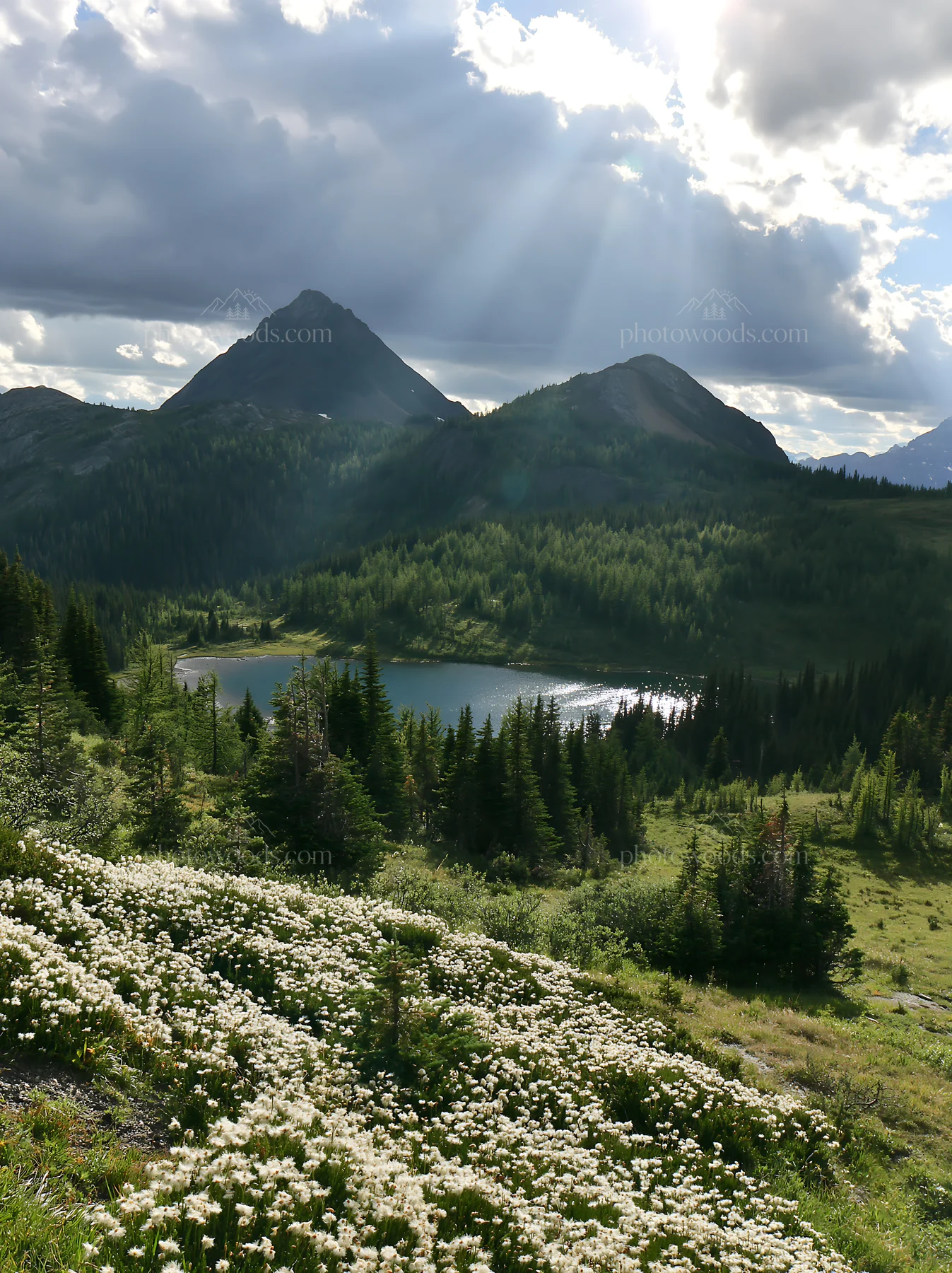 Light rays shine over Sunshine Meadows in Banff - AI-generated stock image