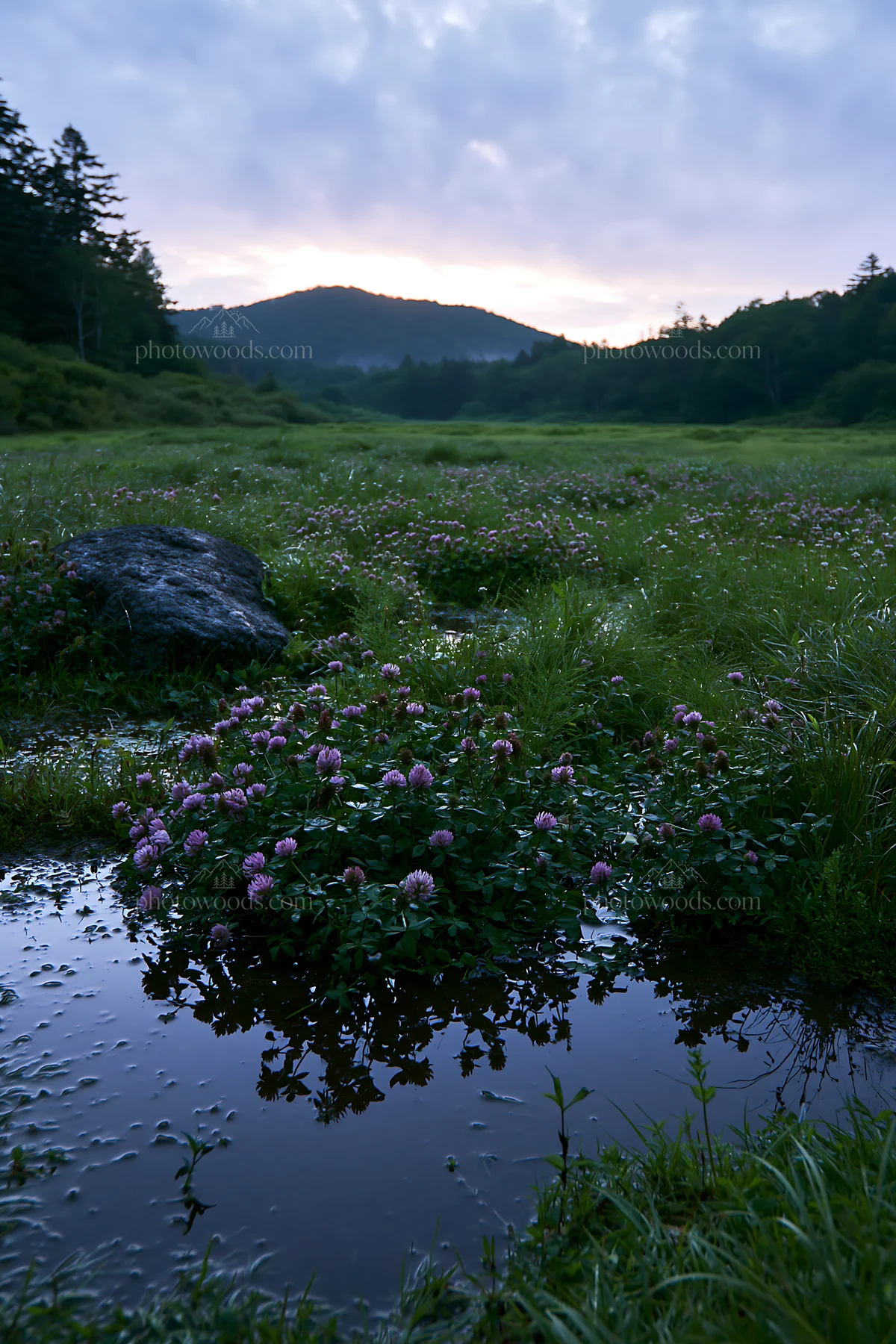Nagano drought resilient meadow granite boulder - AI-generated stock image
