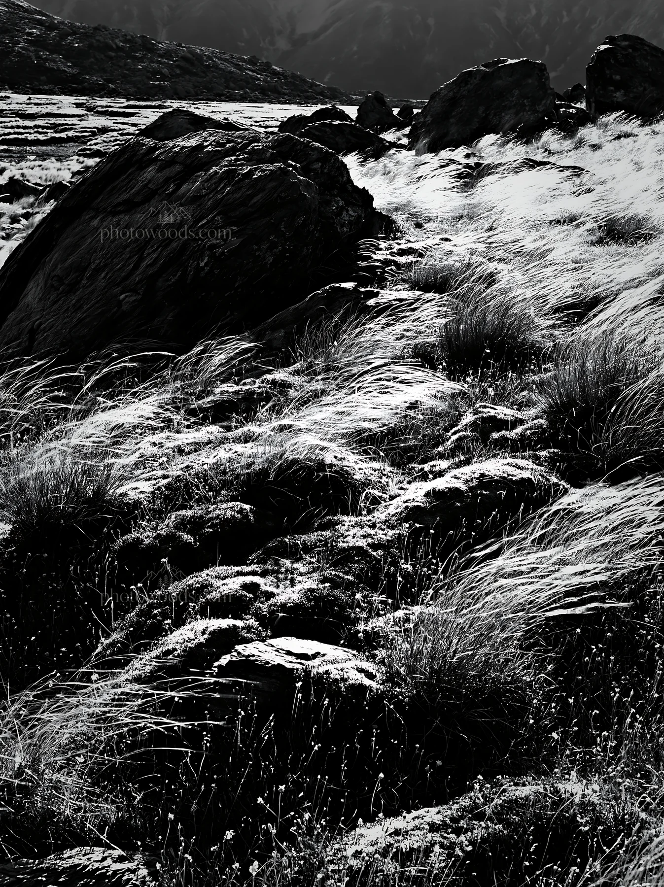 Mossy boulders in a meadow under sunlight - AI-generated stock image