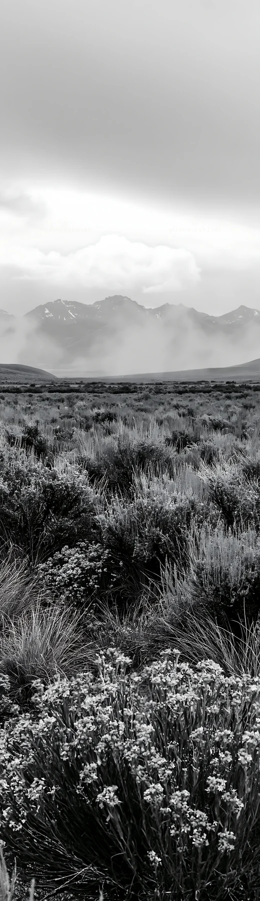 Sagebrush meadow light with mountains in the background - AI-generated stock image
