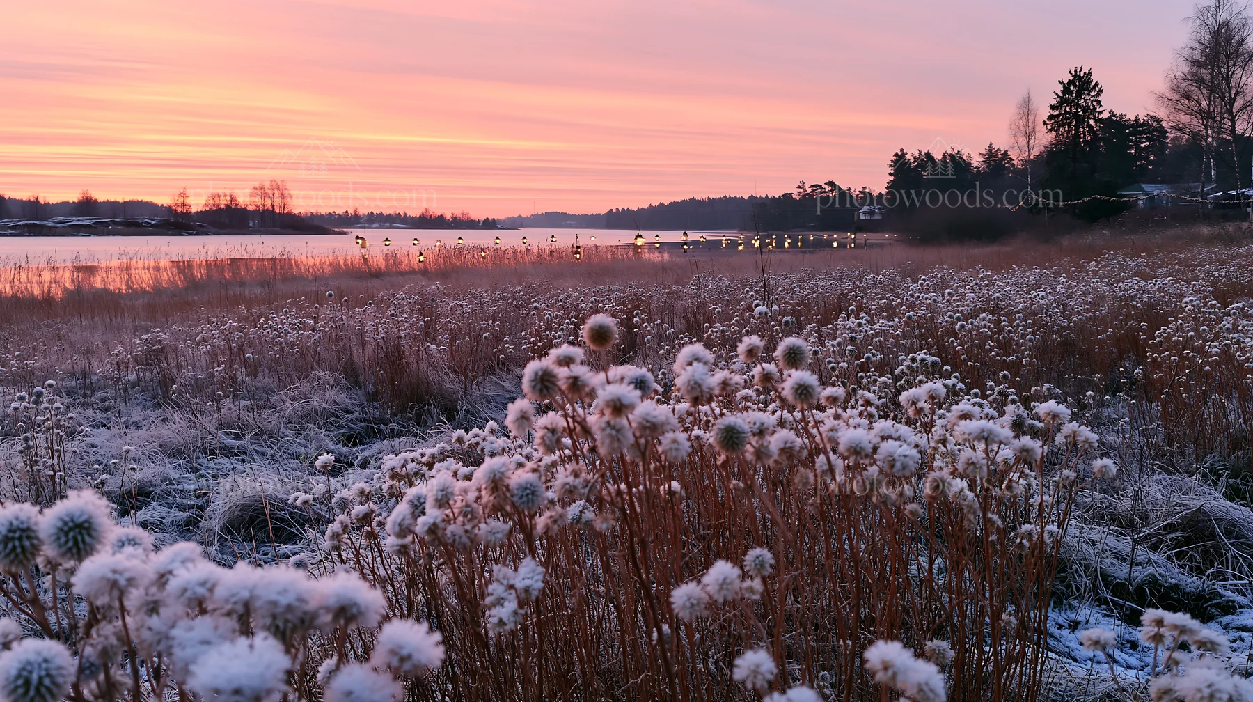 Frosty meadow with seedheads and lanterns at sunset - AI-generated stock image