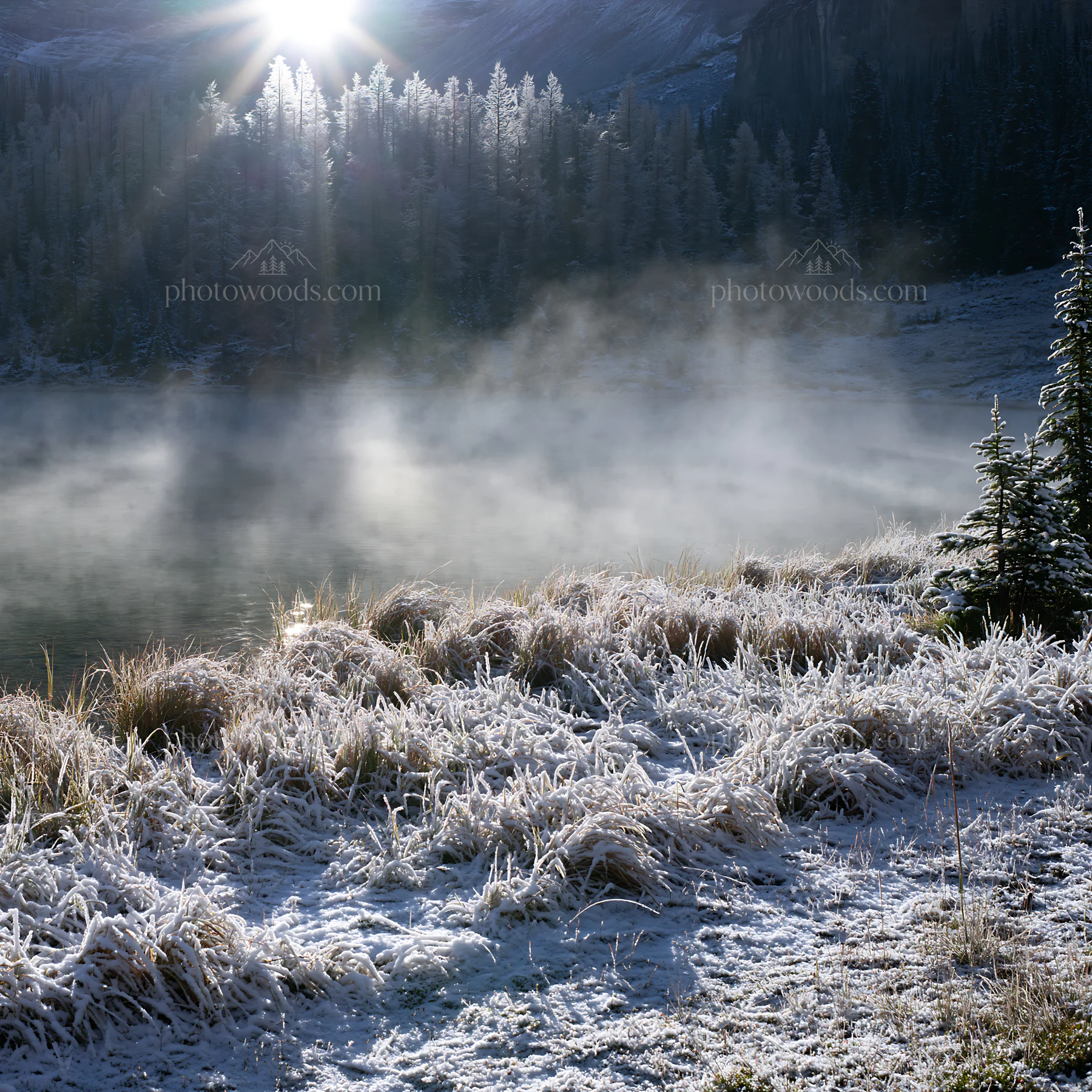 Snowy lakeside meadow with sunlight and mist in the background - AI-generated stock image
