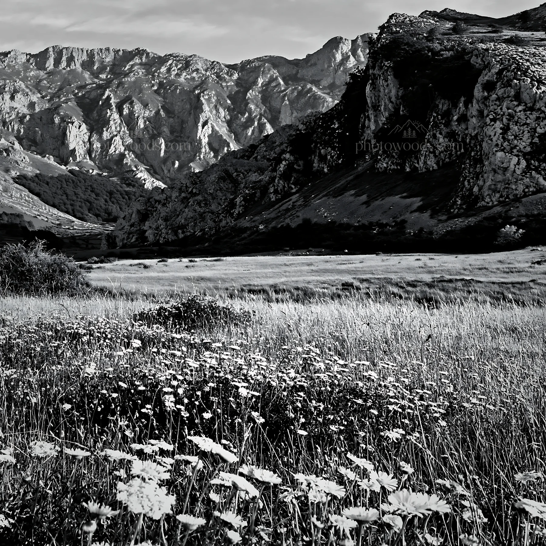 Meadow beneath crags with wildflowers and mountains in the background - AI-generated stock image