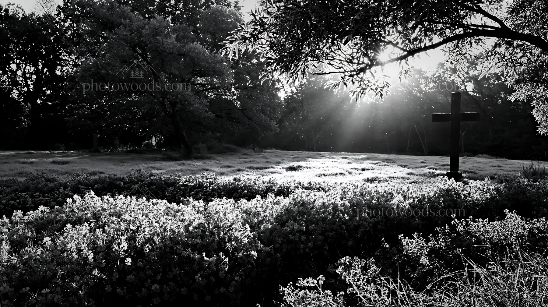 Christian cross in frost-covered meadow - AI-generated stock image