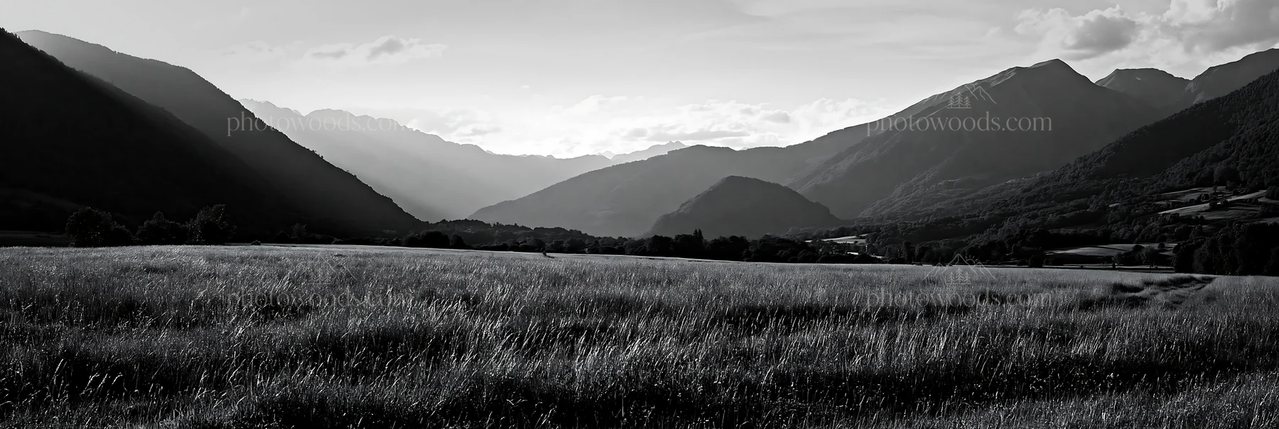 Black and white french meadow below Pyrenees range with mountains in the background - AI-generated stock image