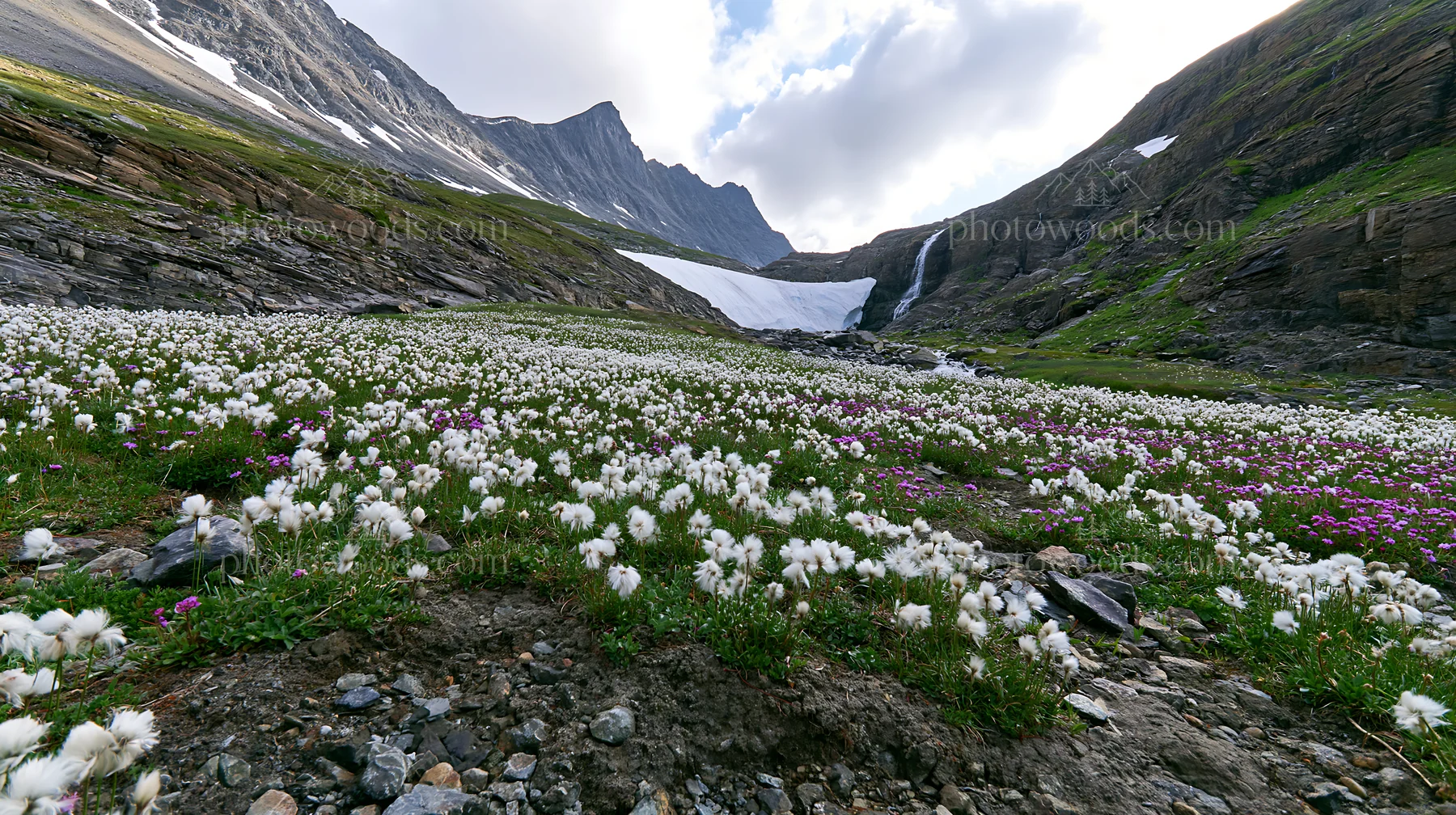 Mountain flower meadow with waterfall in alpine landscape - AI-generated stock image