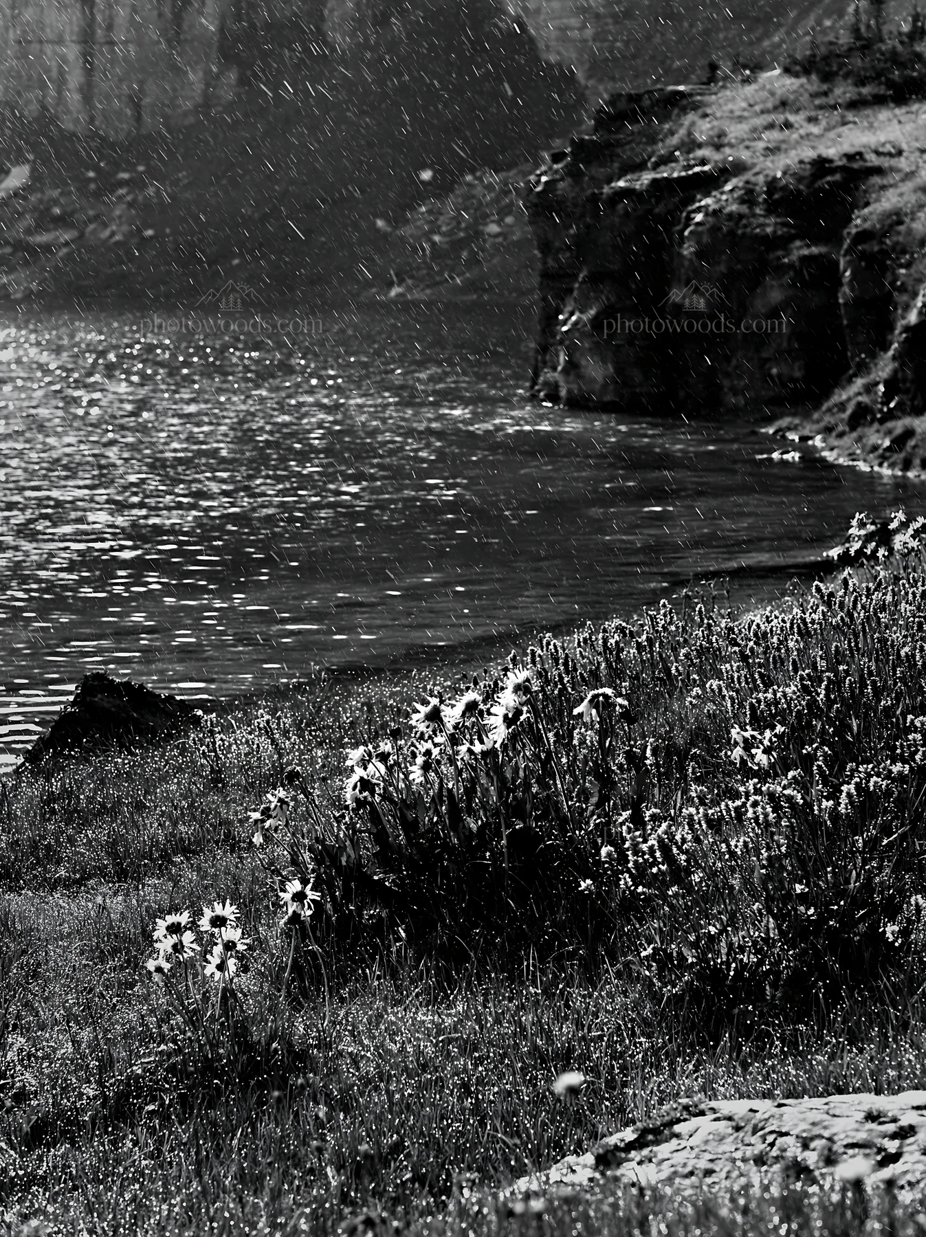 Snowy lakeside meadow with wildflowers and water reflections - AI-generated stock image