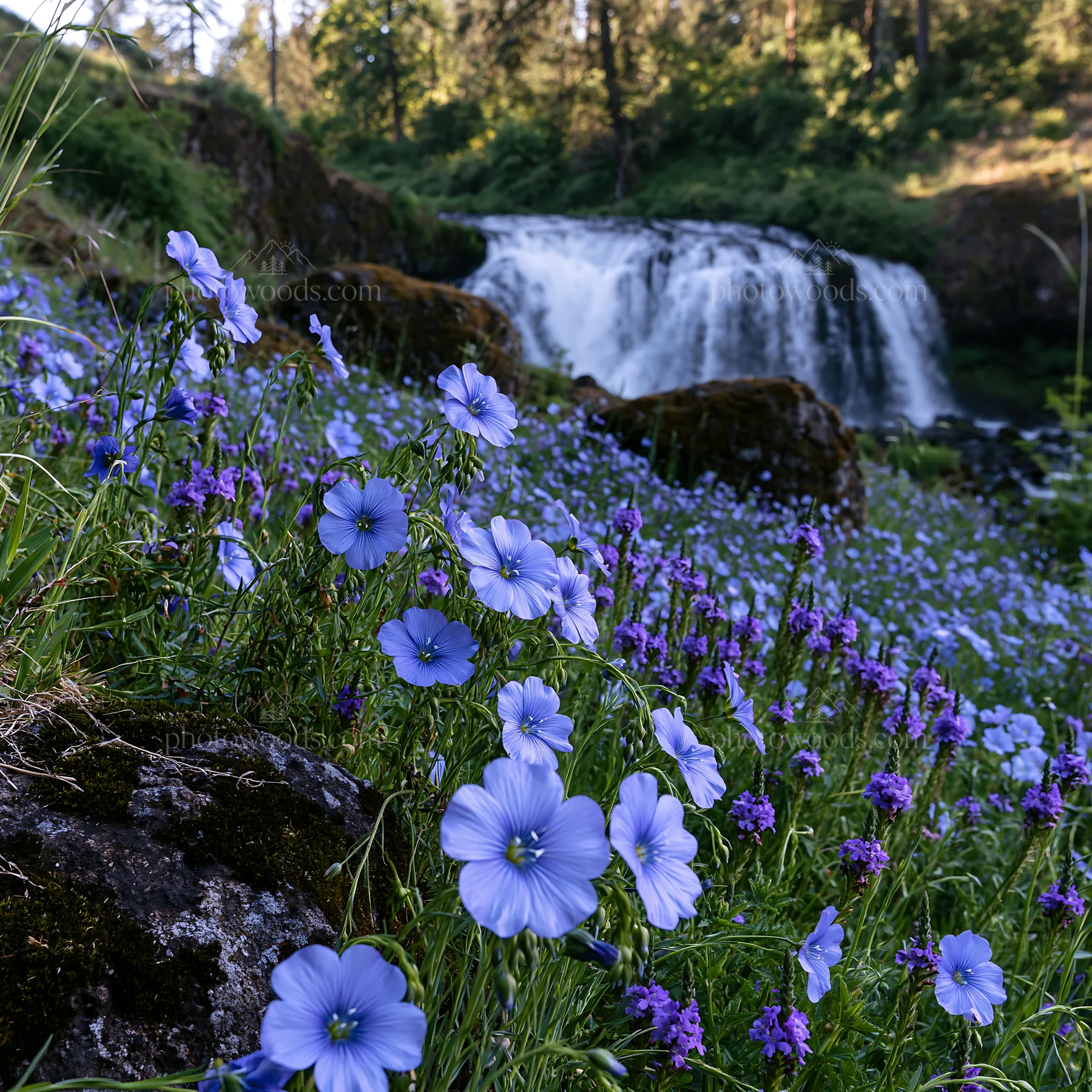 Wildflower meadow beneath cascading falls in natural setting - AI-generated stock image