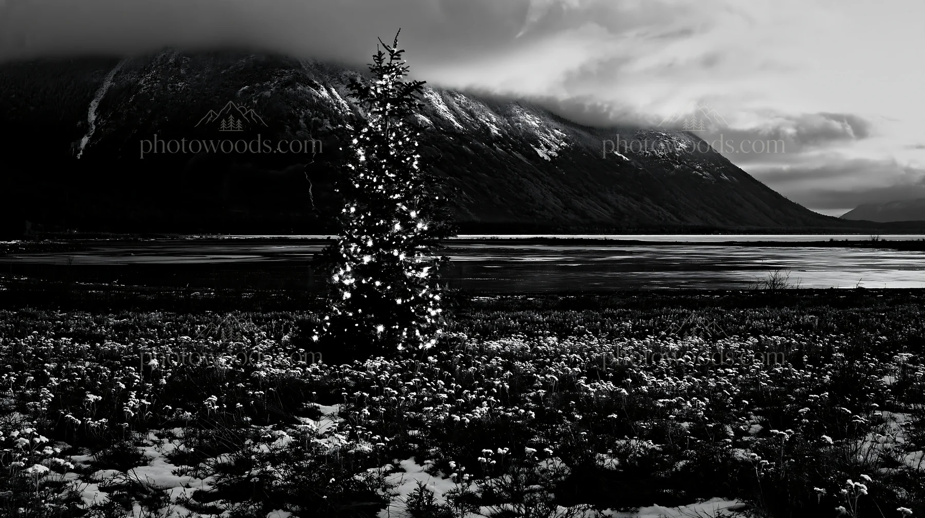 Christmas tree with lights in snowy mountain valley meadow - AI-generated stock image