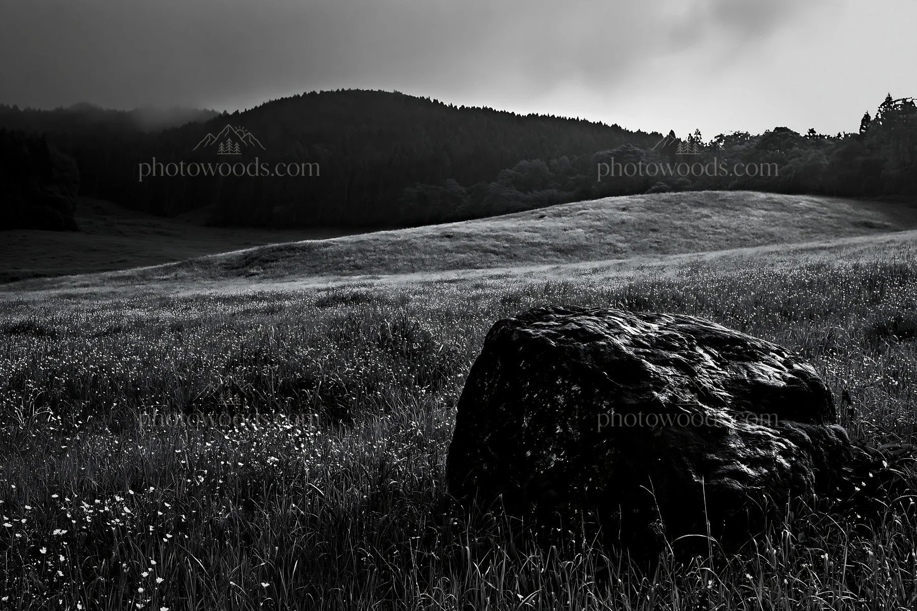 Misty meadow with moss covered stone in Shimane - AI-generated stock image