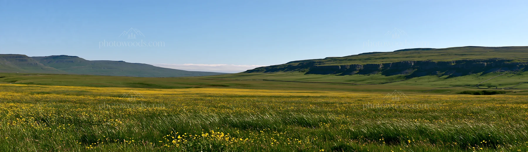 Buttercup hay meadow in the Yorkshire Dales during daylight - AI-generated stock image