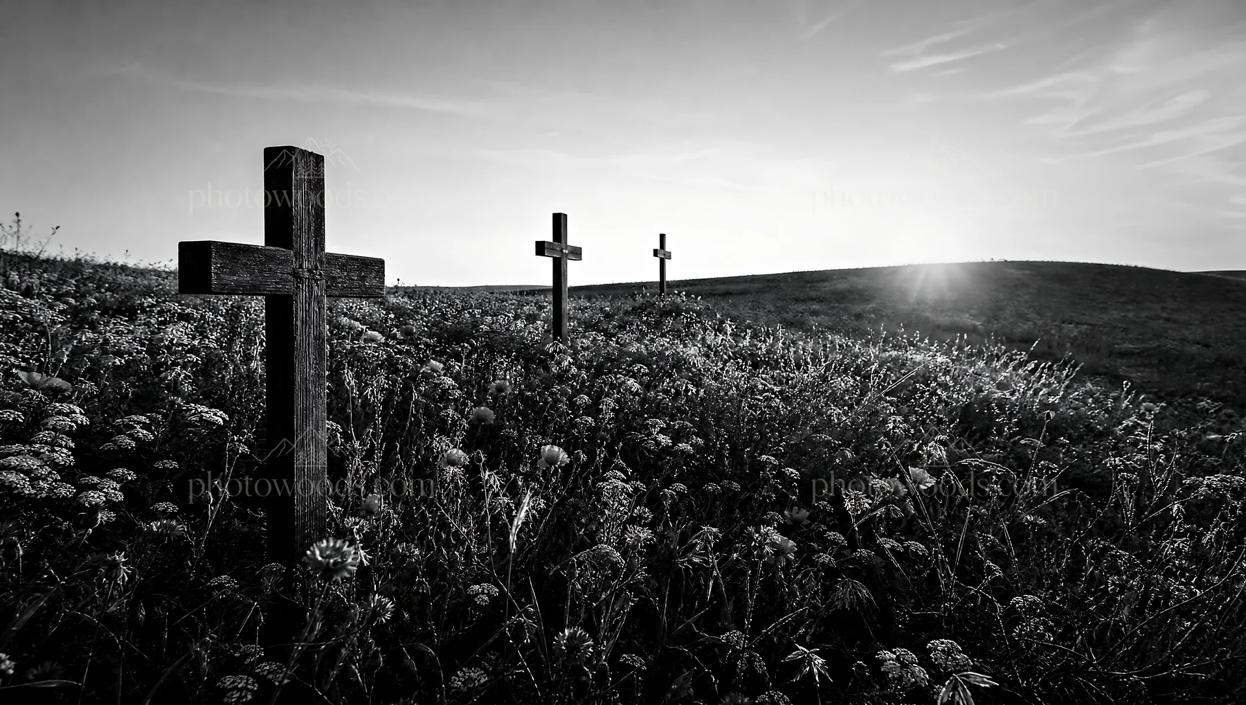 Christian crosses on rolling meadow beneath sunrise - AI-generated stock image