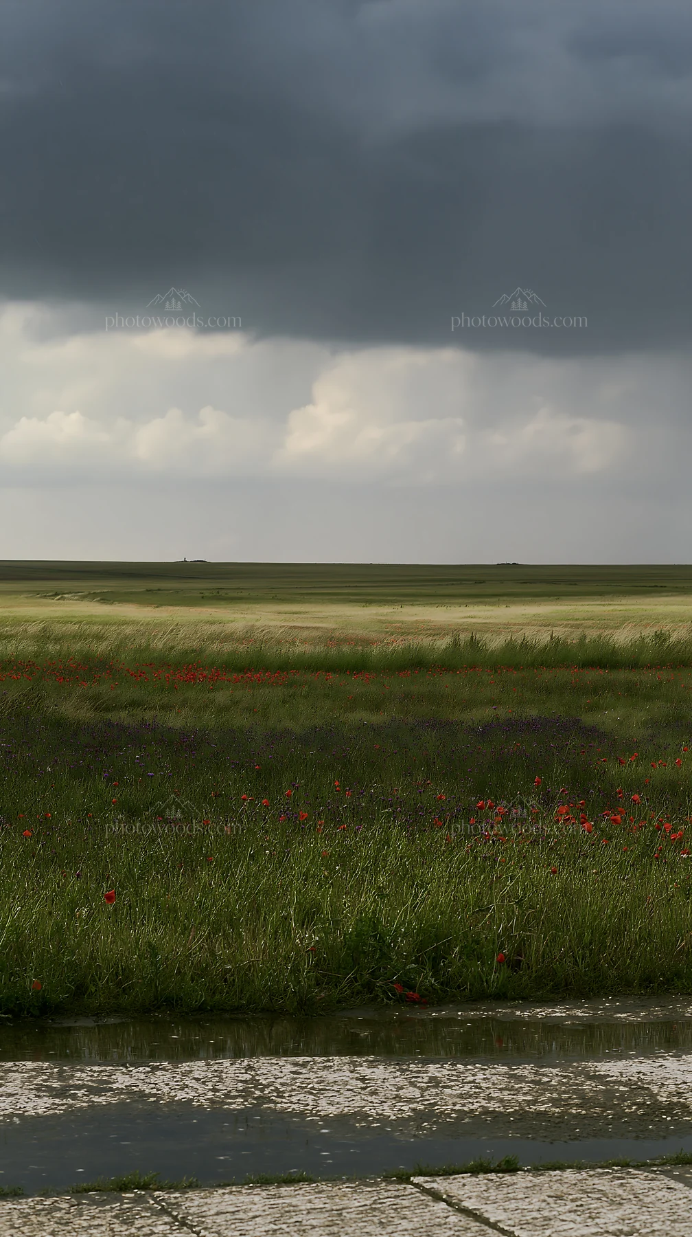 Rainwashed meadow with dark clouds and green grass - AI-generated stock image