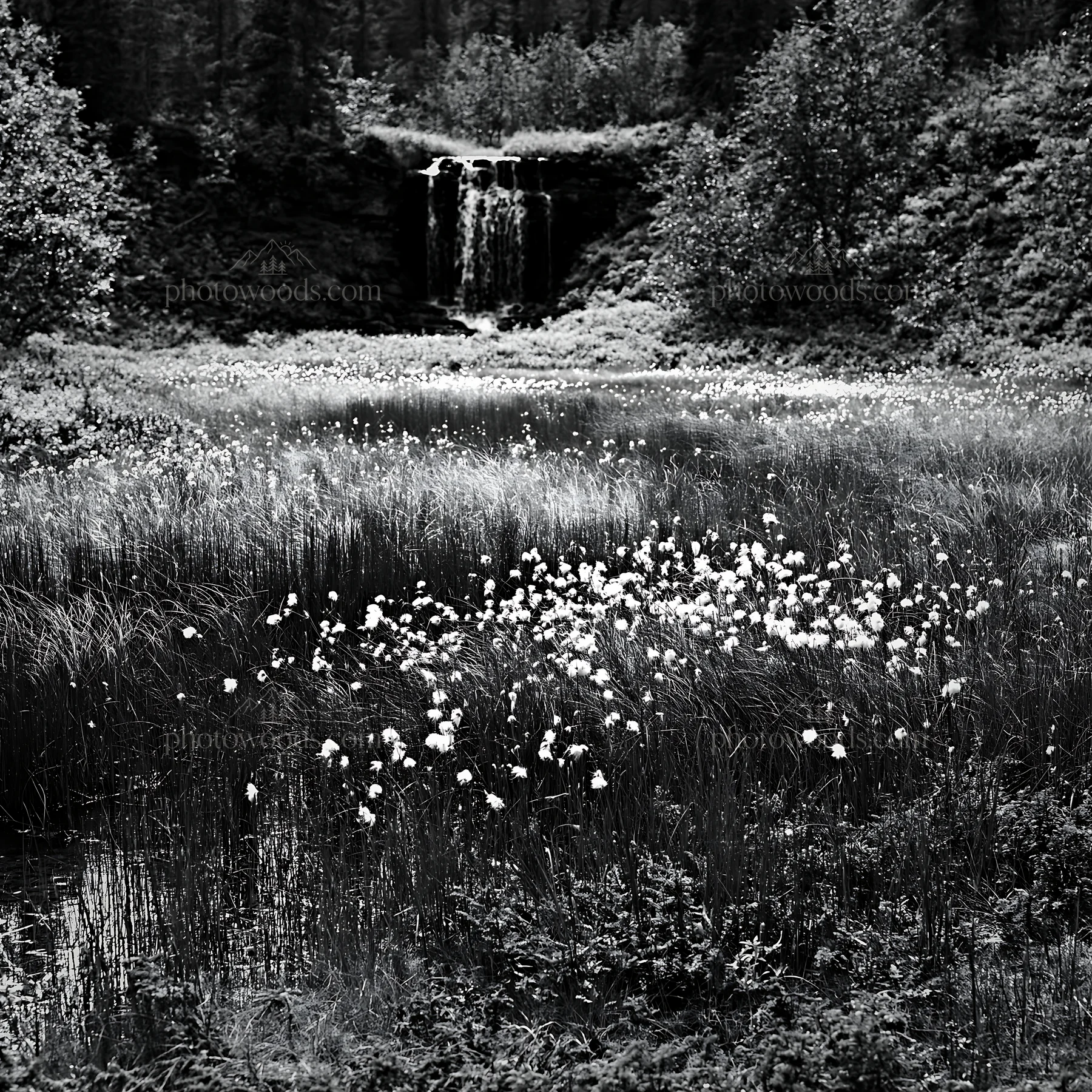 Meadow with waterfall surrounded by wild plants - AI-generated stock image