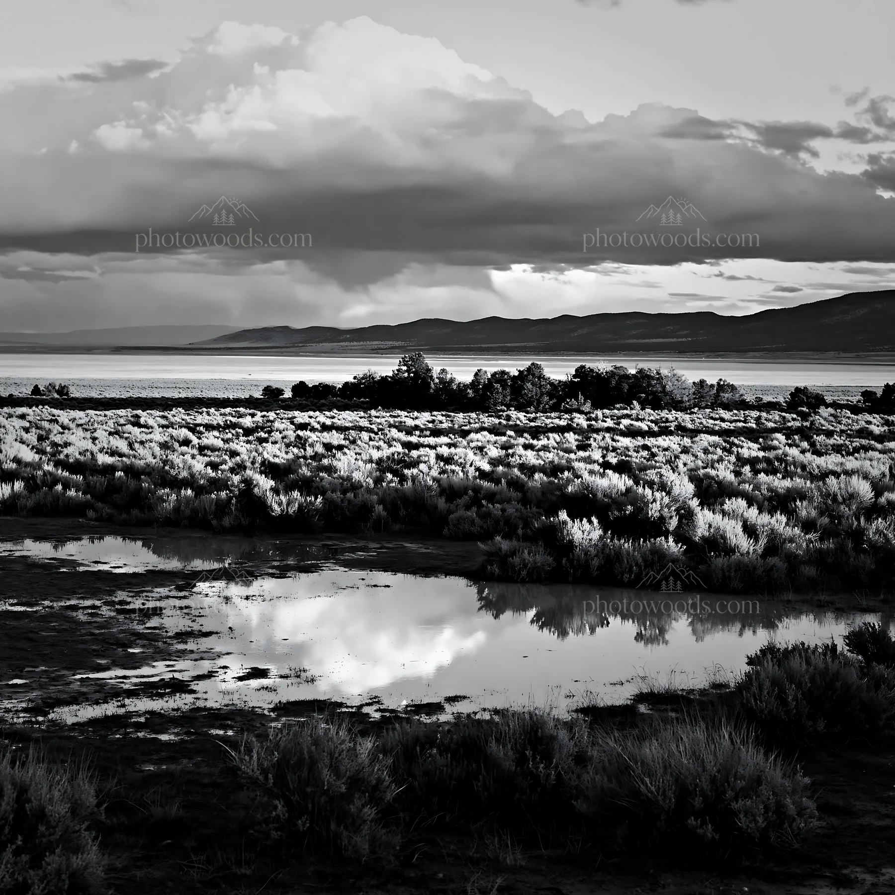 Black and white sagebrush meadow light over a reflective pond - AI-generated stock image