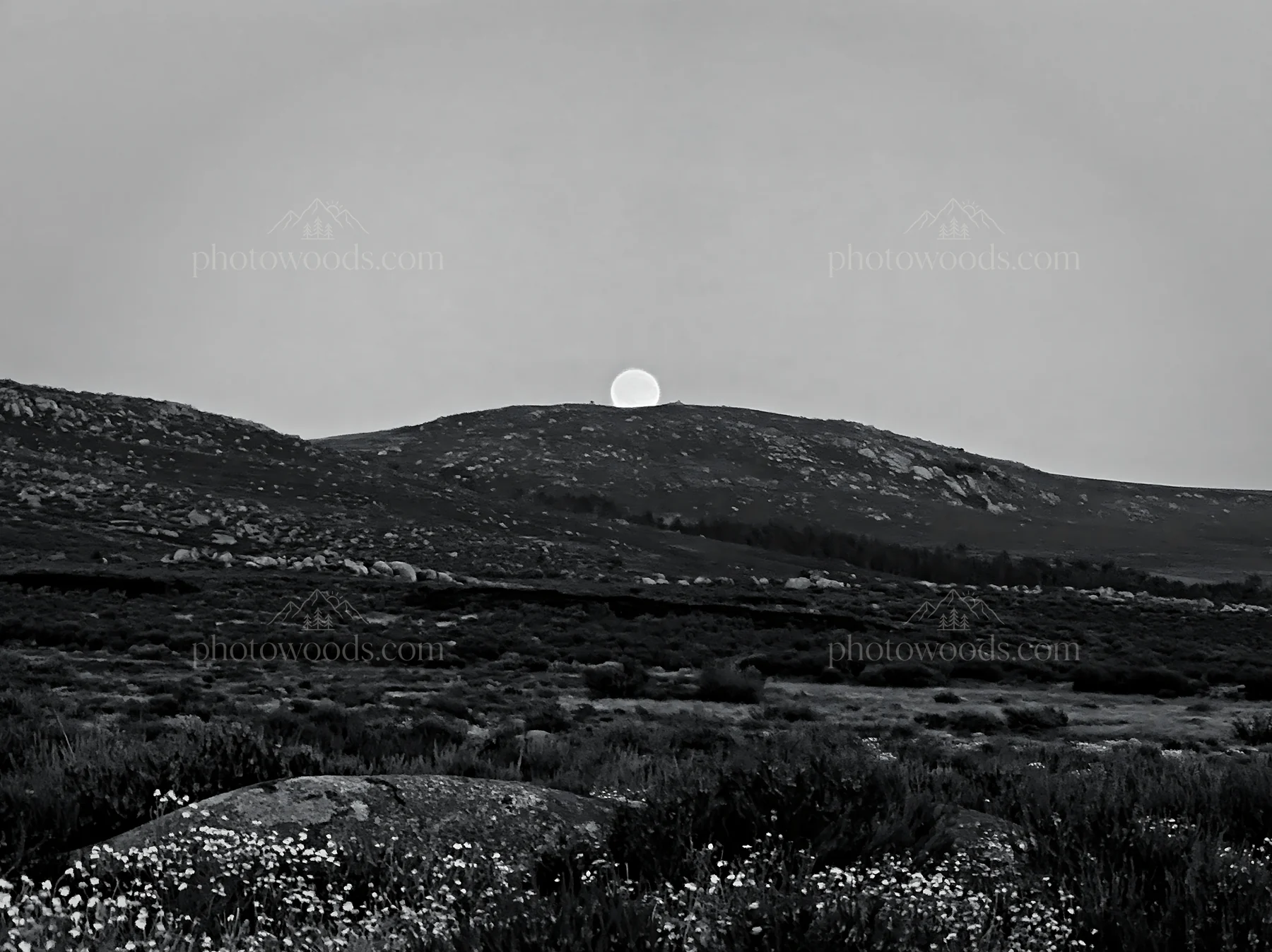 Moonrise over meadow with hills in the background - AI-generated stock image