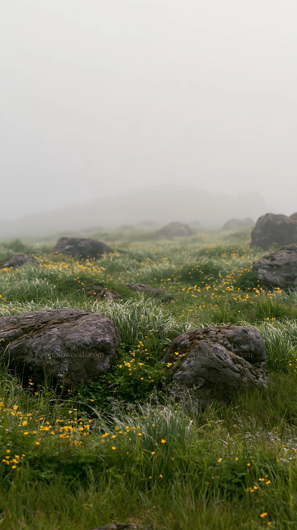Oita highland meadow with granite stones under fog - AI-generated stock image