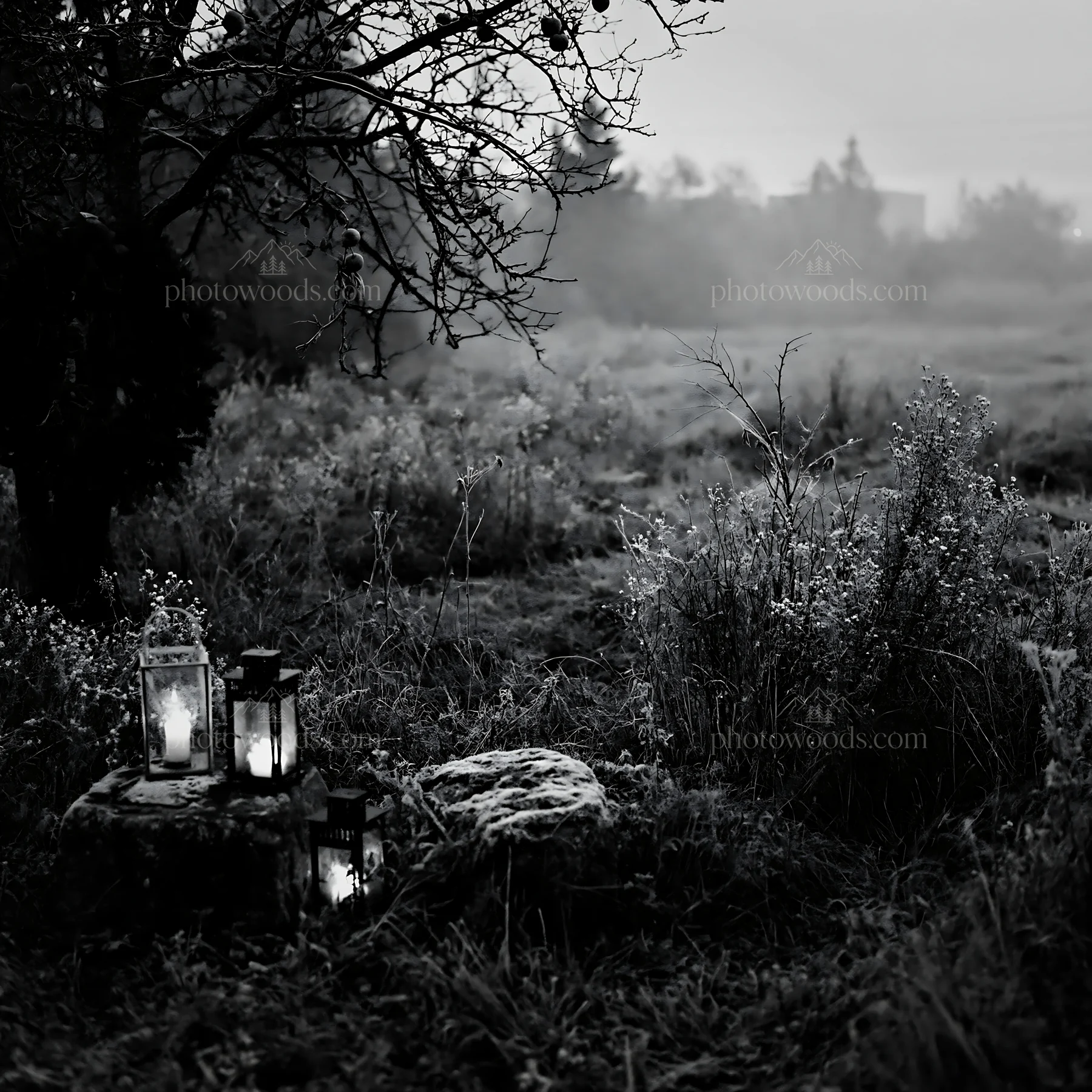 Christmas apple tree meadow with lanterns and frosted stones - AI-generated stock image