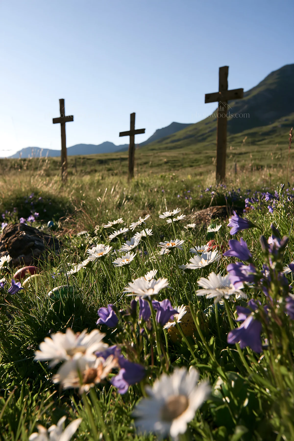 Three Christian crosses in a meadow with wildflowers - AI-generated stock image