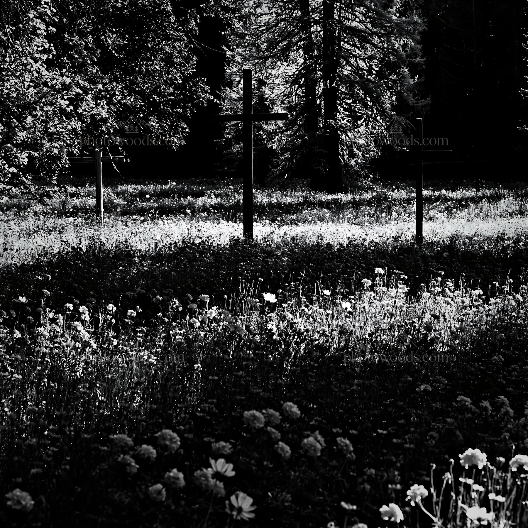 Rustic crosses in meadow at Christmas backlight - AI-generated stock image