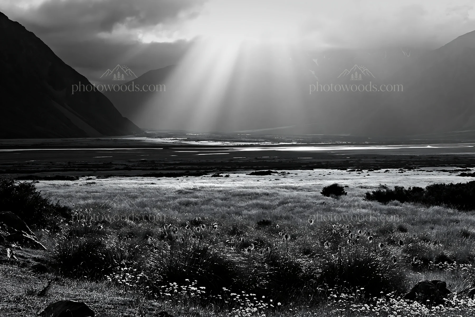 Black and white crepuscular rays shining over a meadow landscape - AI-generated stock image