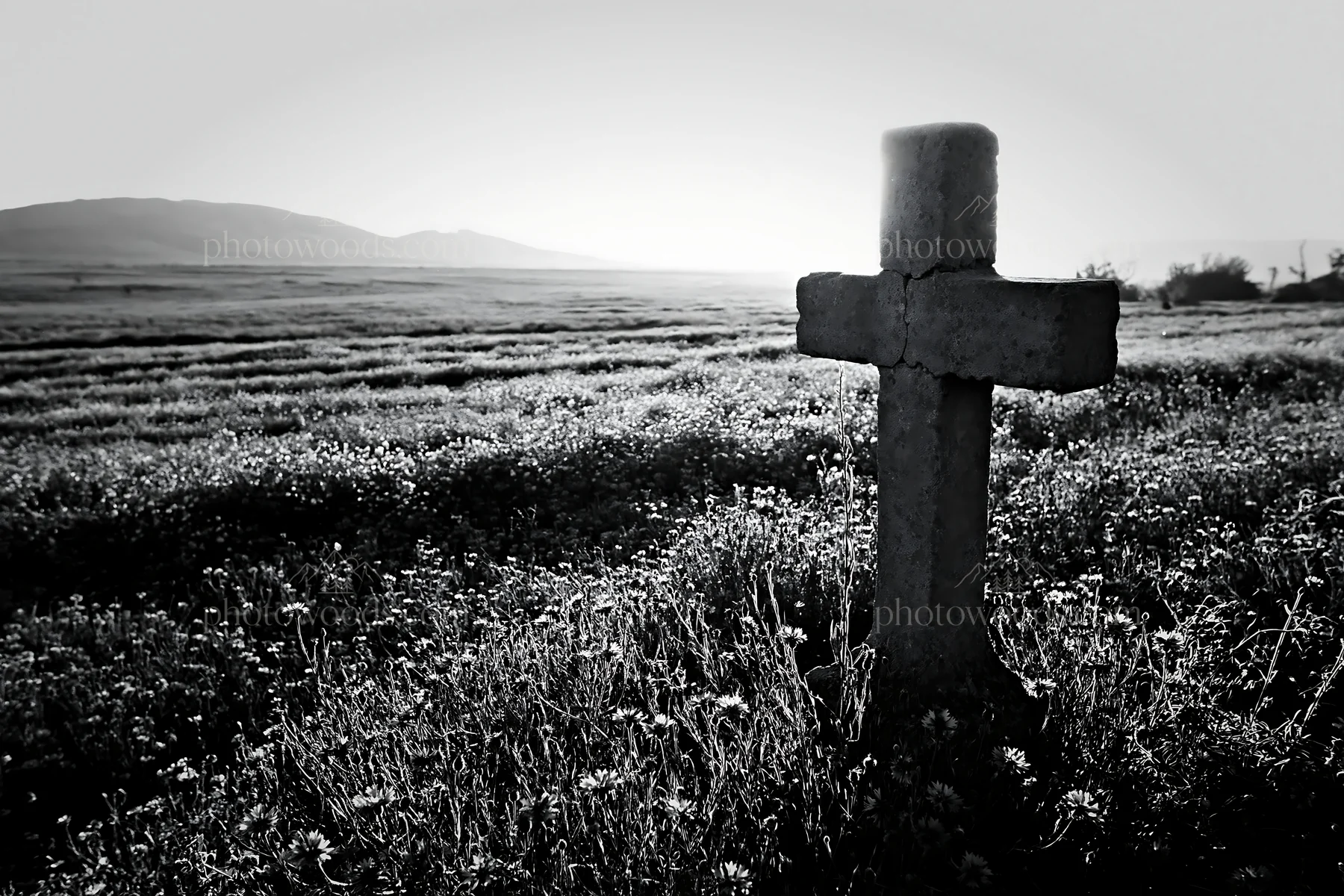 Christian cross in backlit summer meadow during sunset - AI-generated stock image