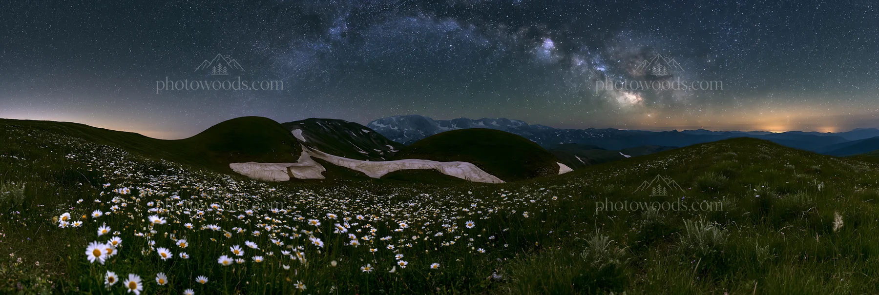 Starlit meadow with flowers under a night sky - AI-generated stock image