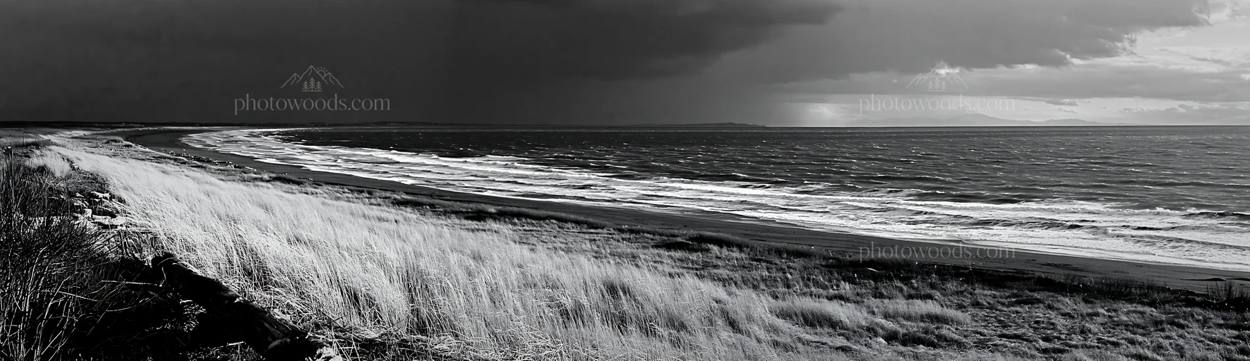 Black and white chiba coastal climate meadow driftwood foreground - AI-generated stock image