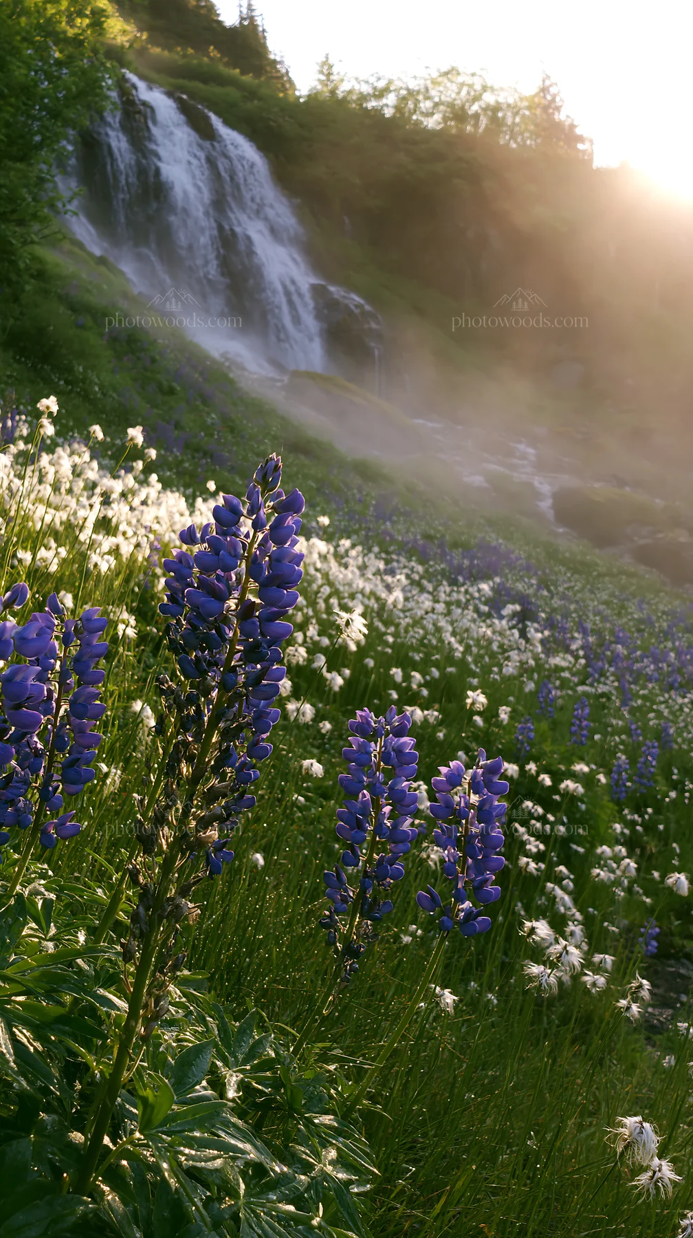 Meadow at the base of a waterfall with wildflowers - AI-generated stock image