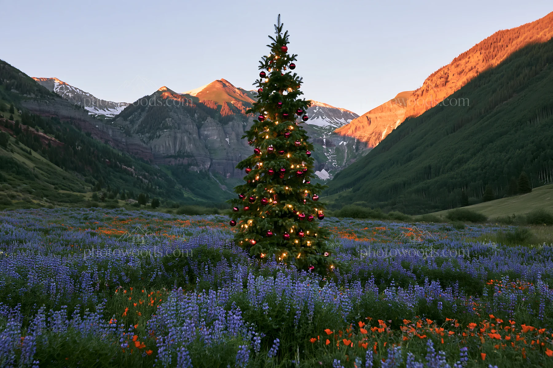 Christmas tree in mountain valley meadow during winter sunset - AI-generated stock image