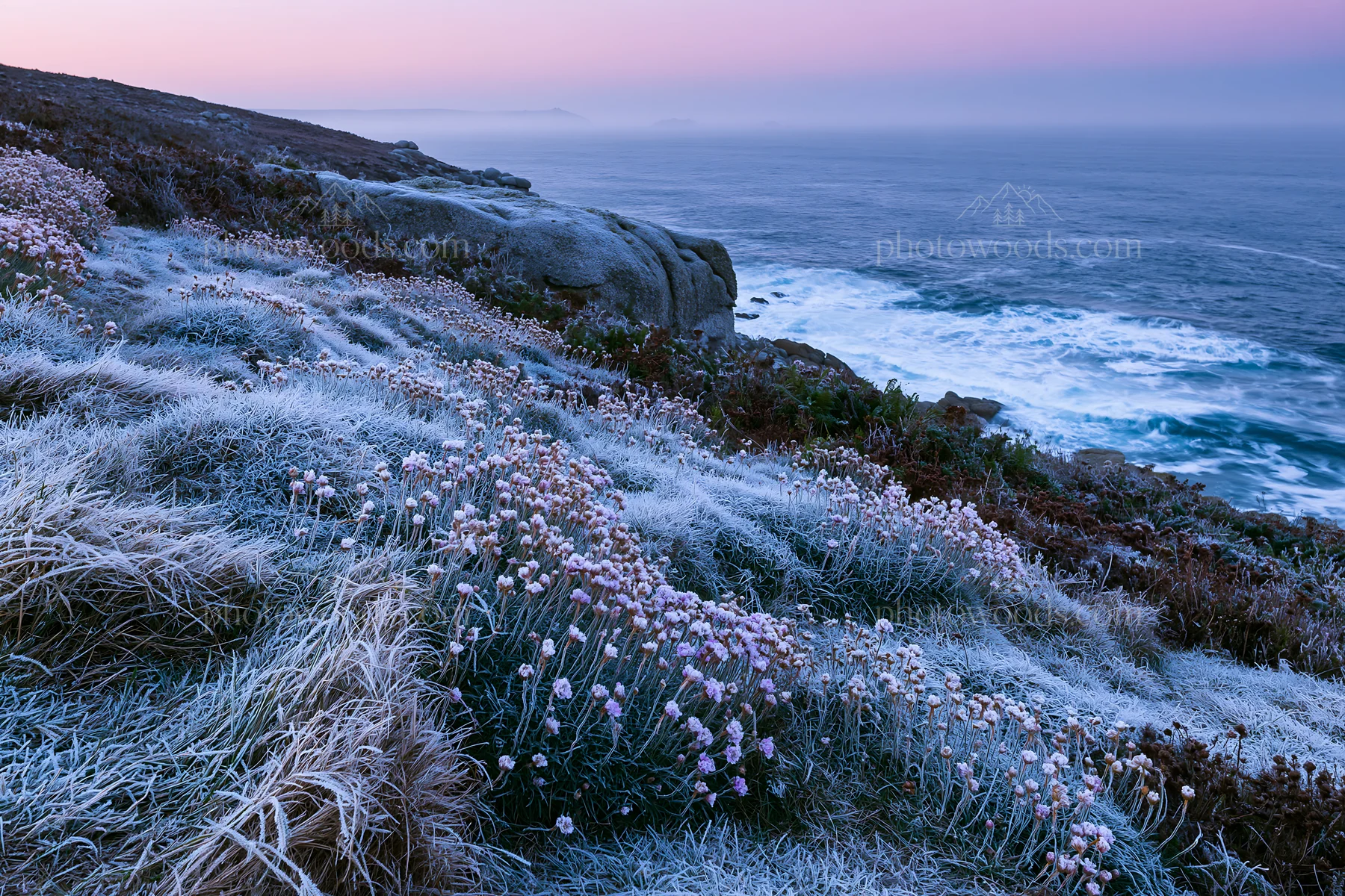 Frost-touched meadow by the coast at dawn - AI-generated stock image