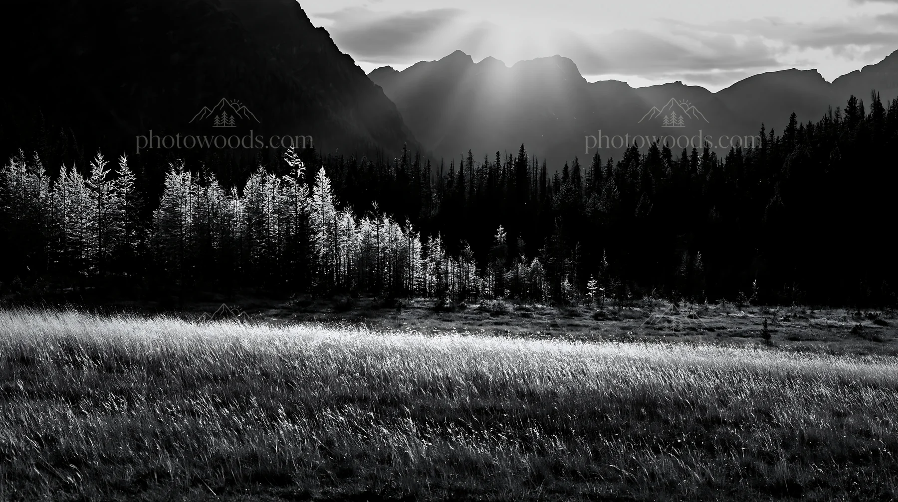 Light rays shining through mountains at Sunshine Meadows Banff - AI-generated stock image