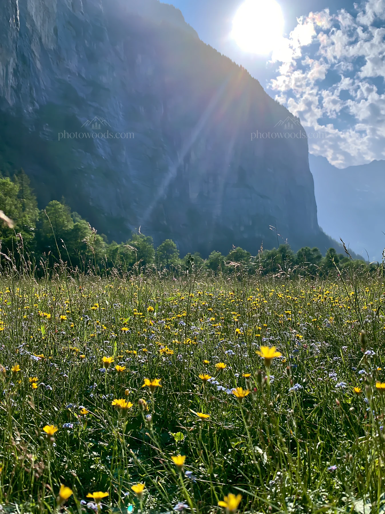 Lauterbrunnen Valley meadow light rays create bright scene - AI-generated stock image