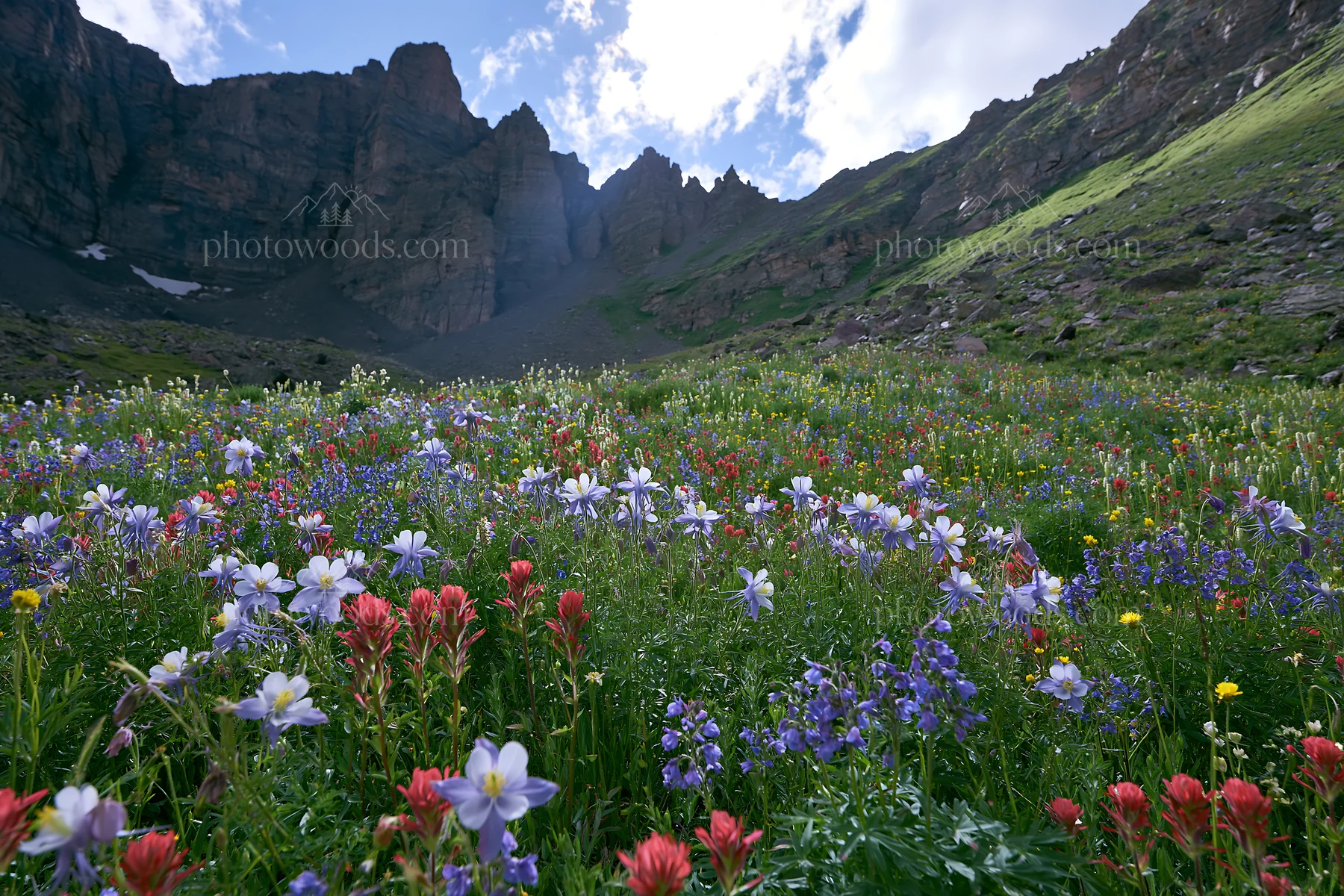 Meadow filled with wildflowers beneath rocky crags - AI-generated stock image