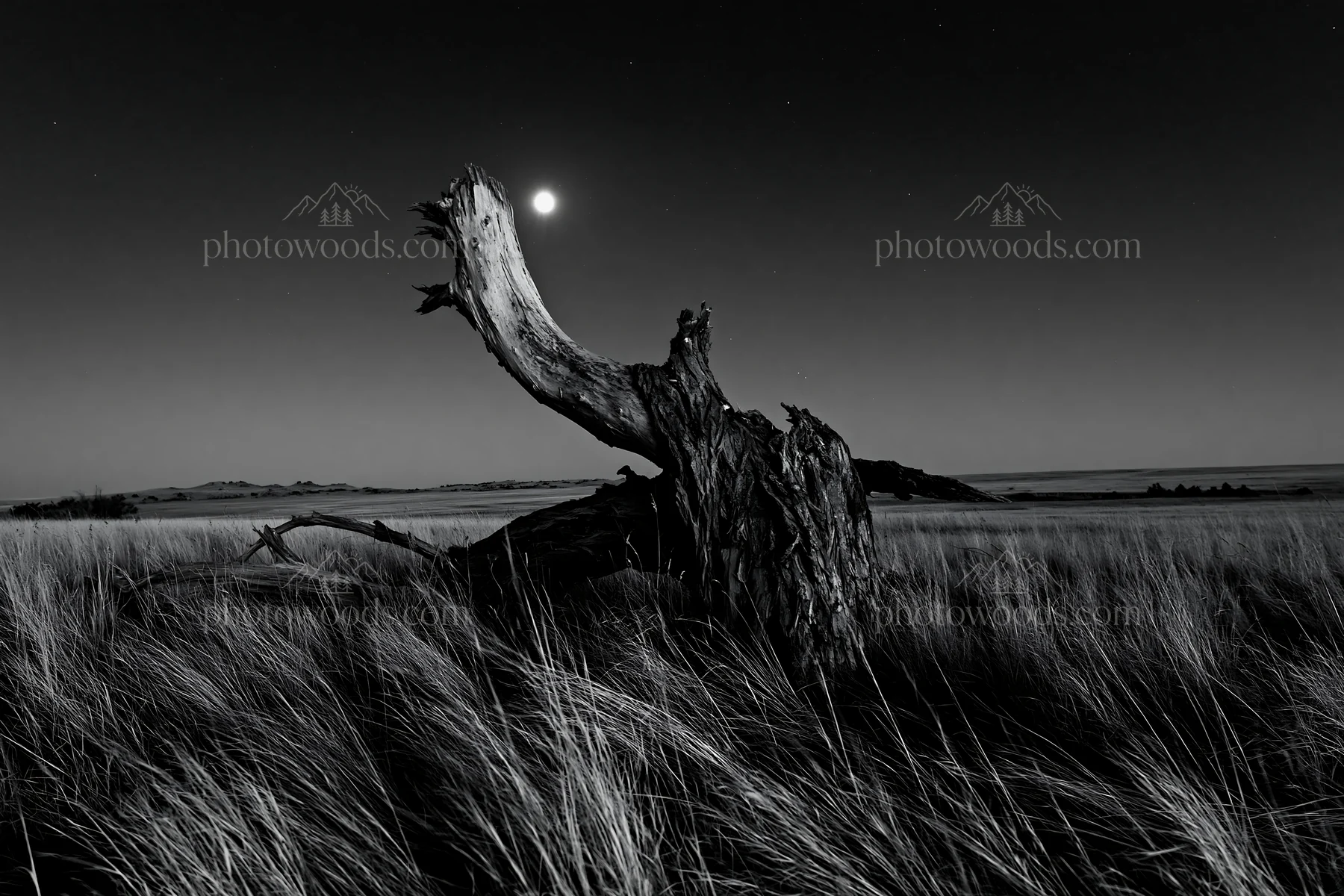 Weathered log in a meadow under the night sky - AI-generated stock image