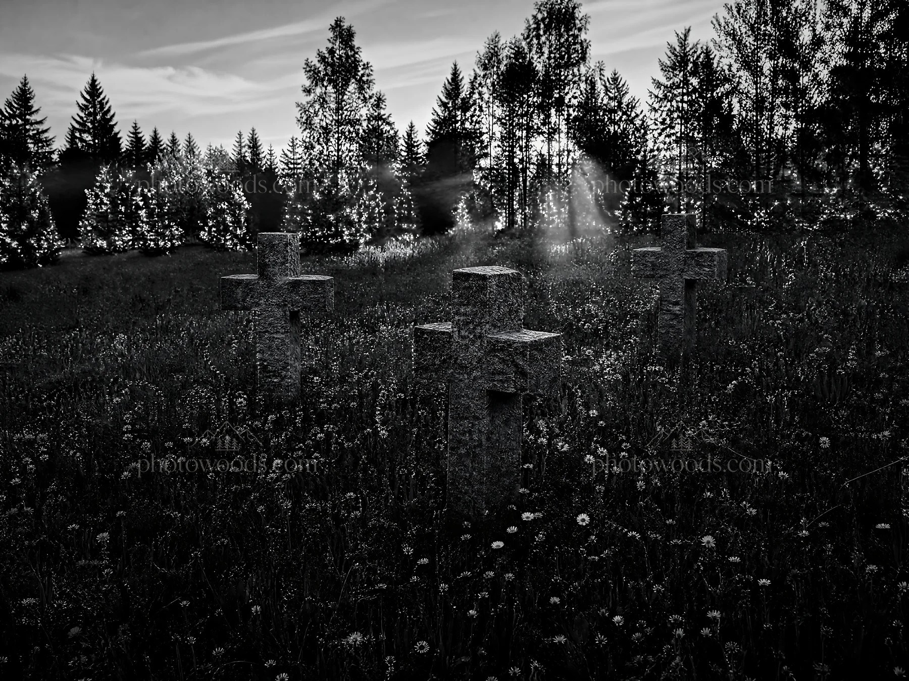 Christian crosses in meadow with light rays shining through trees - AI-generated stock image