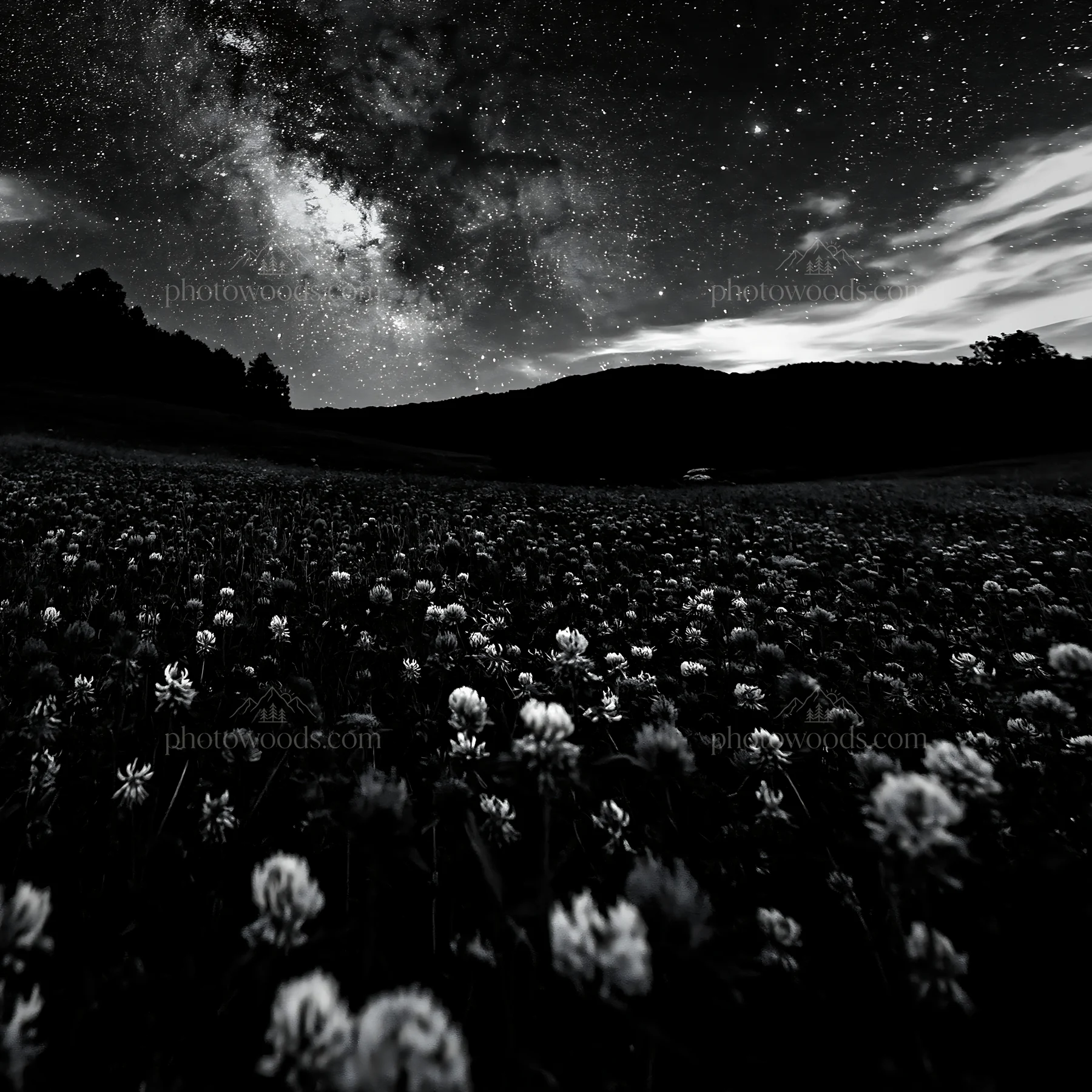 Colorful clover meadow under a starry night sky - AI-generated stock image