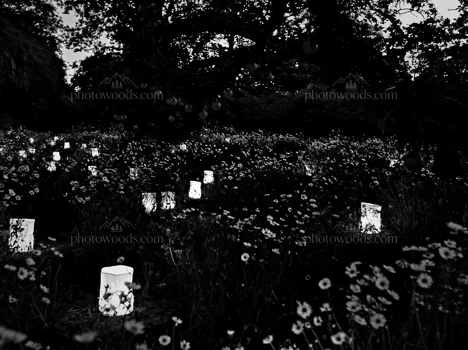 Christmas lanterns glowing in meadow by cave at dusk - AI-generated stock image