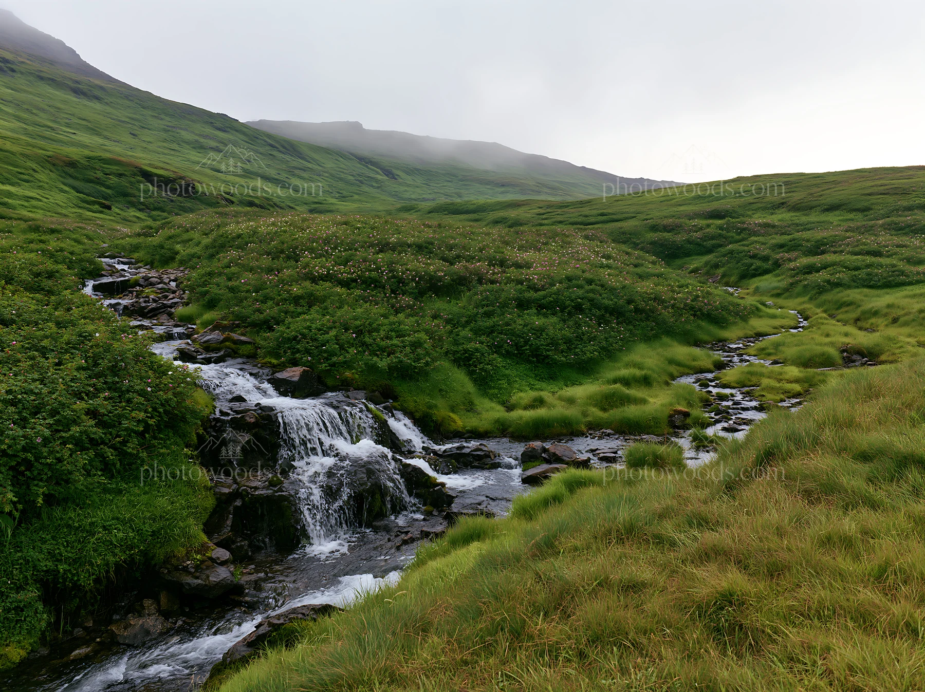 Waterfall in a meadow surrounded by green grass and hills - AI-generated stock image