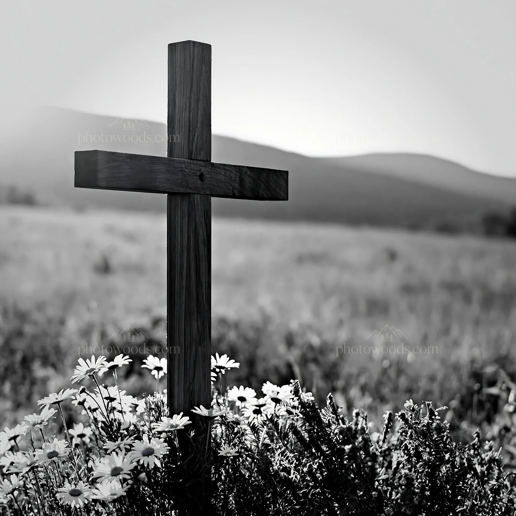 Christian cross in backlit summer meadow with flowers - AI-generated stock image