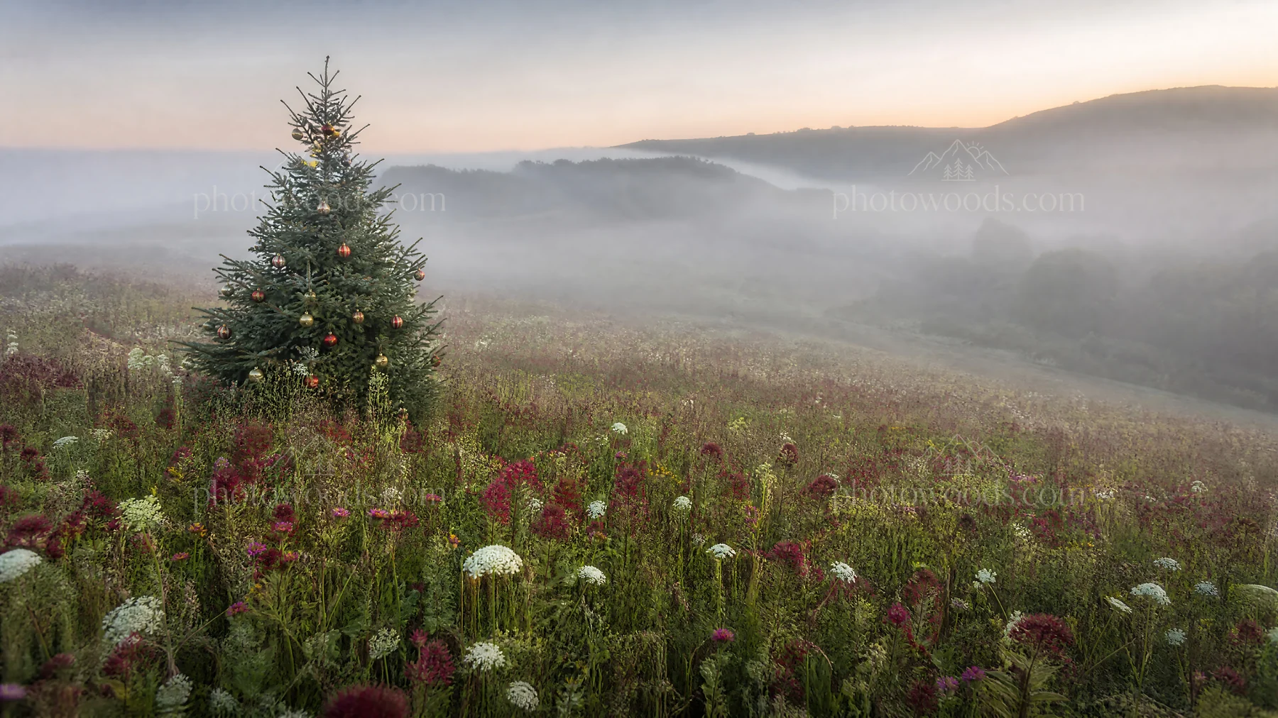 Vibrant Christmas tree in misty meadow at dawn - AI-generated stock image