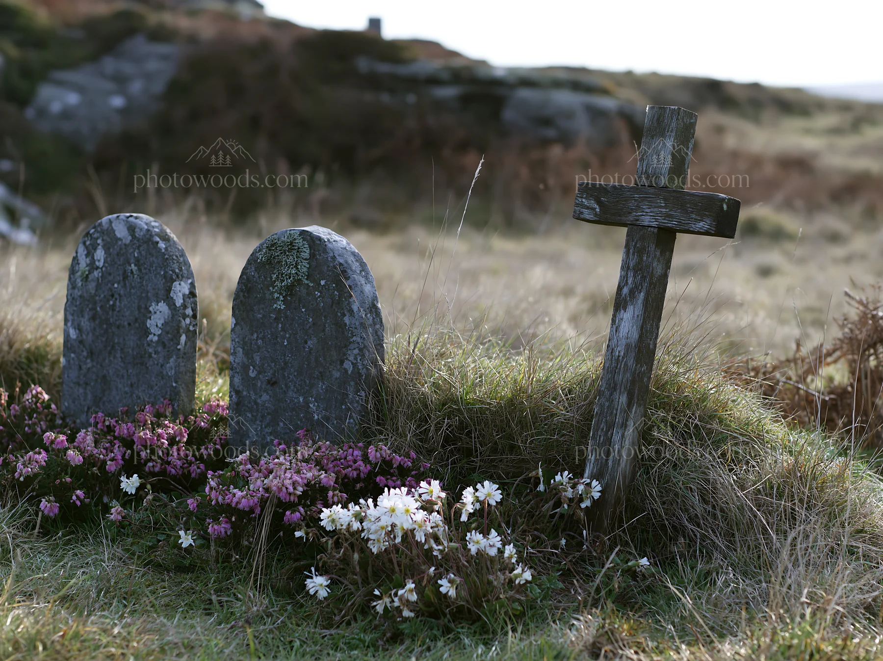 Christian cross in a Christmas meadow with headstones - AI-generated stock image